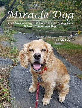 portada Miracle dog (en Inglés)