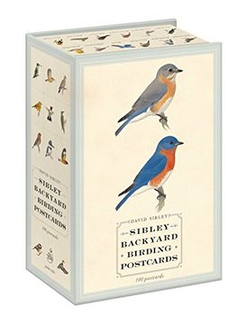 portada Sibley Backyard Birding Postcards: 100 Postcards (in English)
