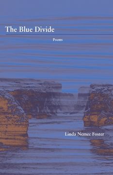 portada The Blue Divide (in English)