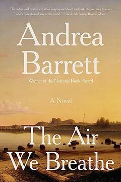portada The air we Breathe: A Novel (en Inglés)