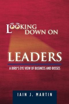 portada Looking Down On Leaders: a bird's eye view of business and bosses