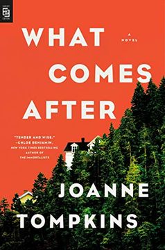 portada What Comes After: A Novel 