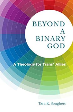 portada Beyond a Binary God: A Theology for Trans* Allies (Church's Teaching for a Changing World)