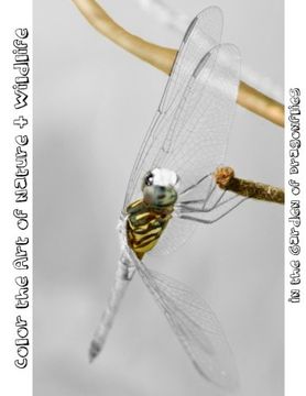 portada In the Garden of Dragonflies: Color the Art of Nature + Wildlife