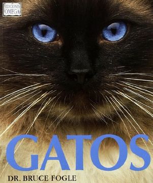 portada Gatos (in Spanish)