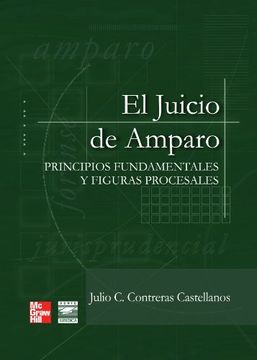 portada Juicio de Amparo (in Spanish)