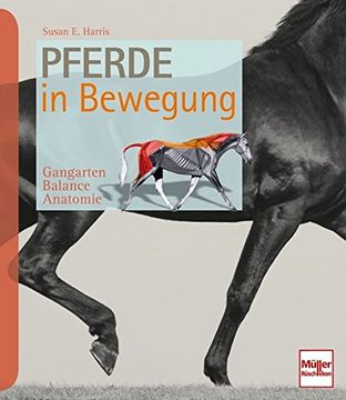 portada Pferde in Bewegung: Gangarten - Balance - Anatomie (in German)