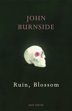portada Ruin, Blossom (en Inglés)
