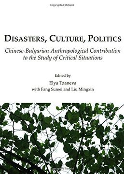 portada Disasters, Culture, Politics: Chinese-Bulgarian Anthropological Contribution to the Study of Critical Situations