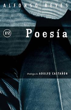 portada Poesia 12 [Reyes Alfonso] (in Spanish)