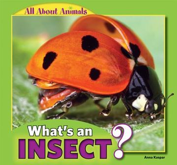 portada what's an insect? (en Inglés)