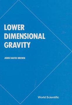 portada Lower Dimensional Gravity (en Inglés)
