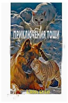 portada Приключения Тоши (in Russian)
