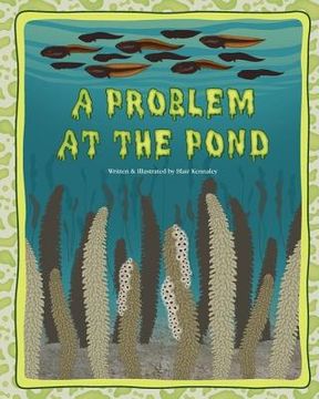 portada a problem at the pond