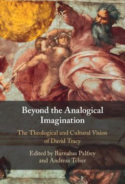portada Beyond the Analogical Imagination: The Theological and Cultural Vision of David Tracy (en Inglés)