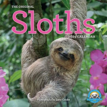 portada Original Sloths Wall Calendar 2024: The Ultimate Experts at Slowing Down (en Inglés)