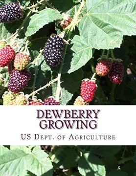 portada Dewberry Growing: Farmers' Bulletin 1403 (in English)