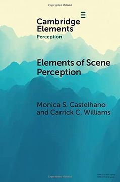 portada Scene Perception (Elements in Perception) (en Inglés)