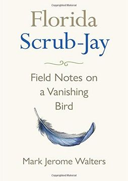 portada Florida Scrub-Jay: Field Notes on a Vanishing Bird (in English)