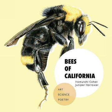 portada Bees of California: Art, Science, and Poetry (en Inglés)