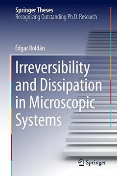 portada Irreversibility and Dissipation in Microscopic Systems (Springer Theses)
