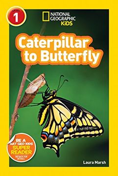 portada Caterpillar to Butterfly (National Geographic Readers, Level 1) (libro en Inglés)