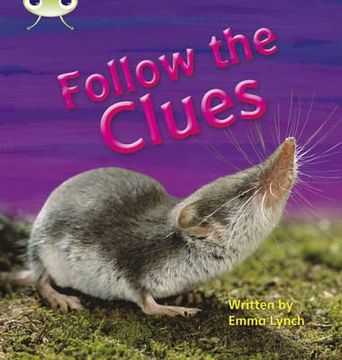 portada phonics bug follow the clues phase 5 (en Inglés)