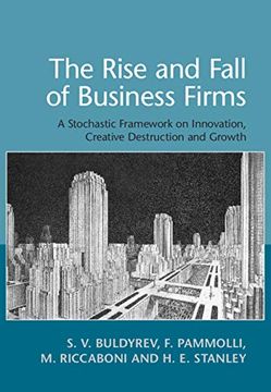 portada The Rise and Fall of Business Firms: A Stochastic Framework on Innovation, Creative Destruction and Growth (en Inglés)
