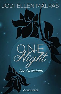 portada One Night - das Geheimnis -: Die one Night-Saga 2 (in German)