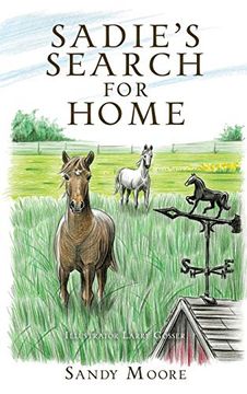 portada Sadie's Search for Home (en Inglés)