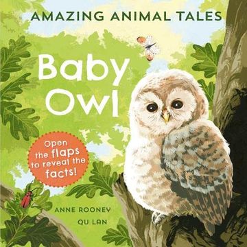 portada Amazing Animal Tales: Baby owl (en Inglés)
