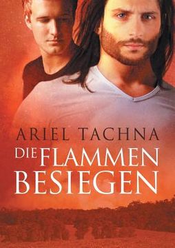 portada Flammen Besiegen (Translation) (en Alemán)