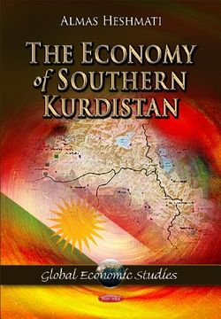 portada The Economy of Southern Kurdistan (Global Economic Studies) (en Inglés)