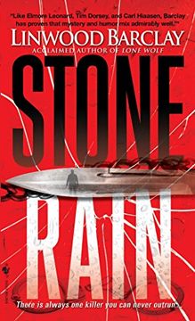 portada Stone Rain (en Inglés)