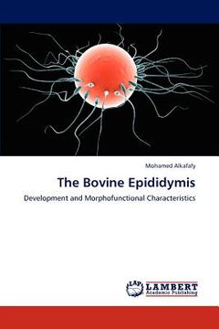 portada the bovine epididymis (in English)