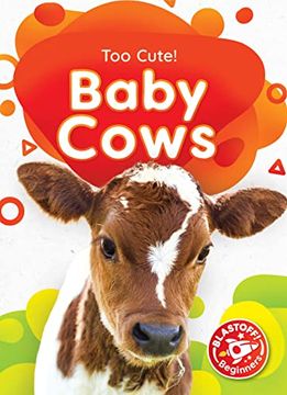 portada Baby Cows (Too Cute! Blastoff! Beginners) (in English)
