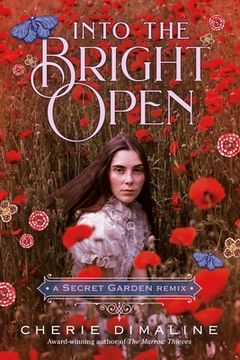 portada Into the Bright Open: A Secret Garden Remix (en Inglés)