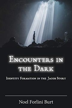 portada Encounters in the Dark: Identity Formation in the Jacob Story (96) (Semeia Studies) (en Inglés)
