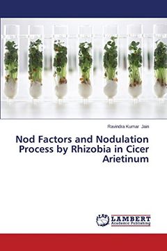 portada Nod Factors and Nodulation Process by Rhizobia in Cicer Arietinum