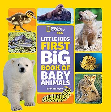 portada Little Kids First big Book of Baby Animals (Little Kids First big Books) (en Inglés)