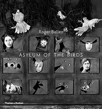 portada Asylum of the Birds 