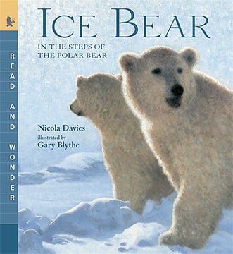 portada Ice Bear: Read and Wonder: In the Steps of the Polar Bear (en Inglés)