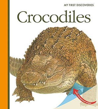 portada Crocodiles (my First Discoveries) (en Inglés)