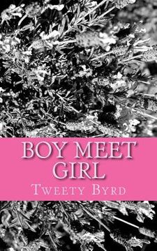 portada Boy meet Girl (en Inglés)