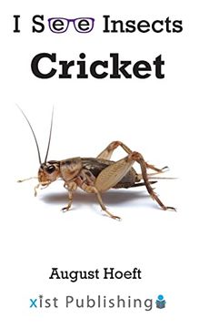 portada Cricket (i see Insects) (en Inglés)