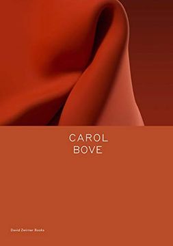 portada Carol Bove: Ten Hours (in English)