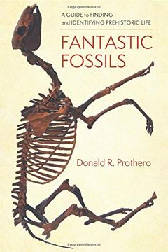 portada Fantastic Fossils: A Guide to Finding and Identifying Prehistoric Life 