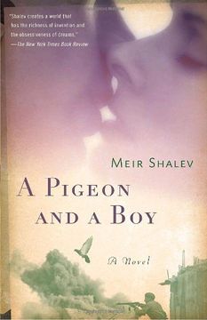 portada Pigeon and a boy (en Inglés)