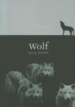 portada wolf