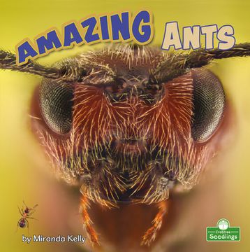 portada Amazing Ants (Backyard Science) (in English)
